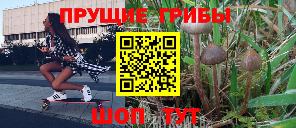 Псилоцибиновые грибы Cubensis Урай